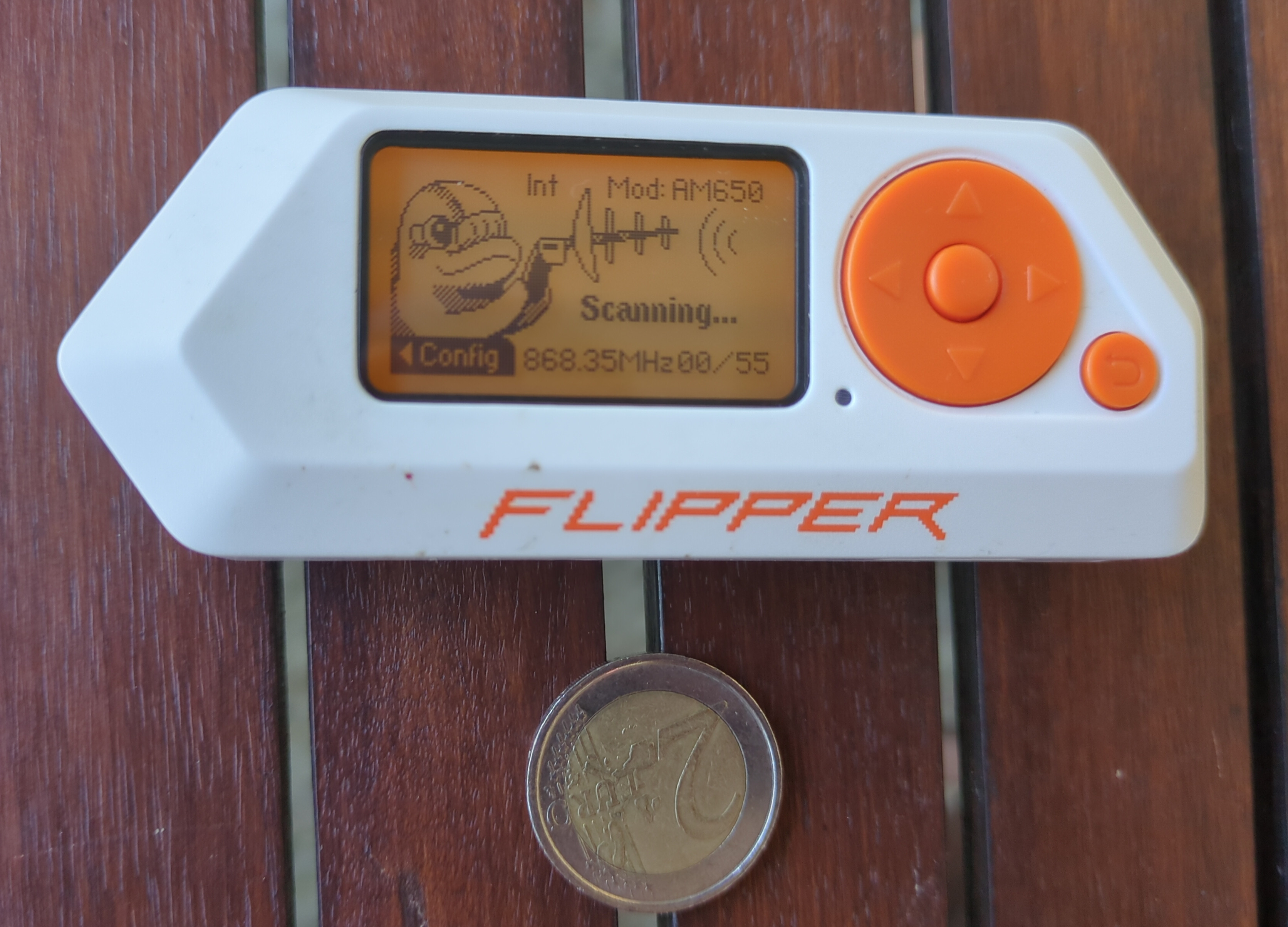flipper.jpeg